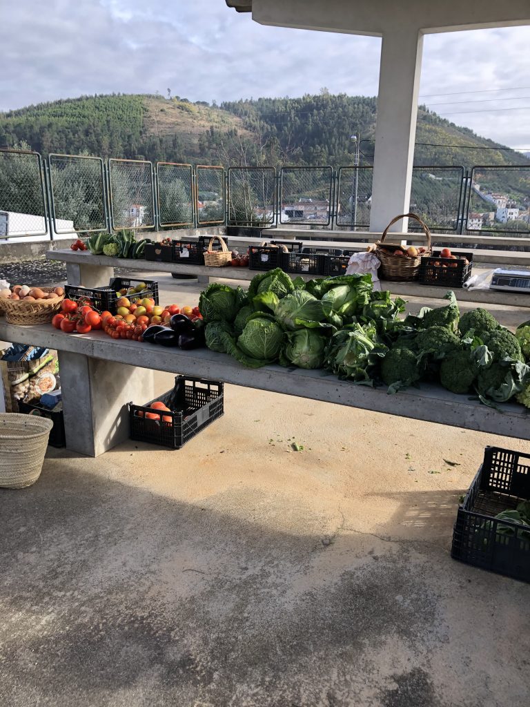 Em Vinhó, Dia das Bruxas? - Notícias do Miradouro de Vila Cova