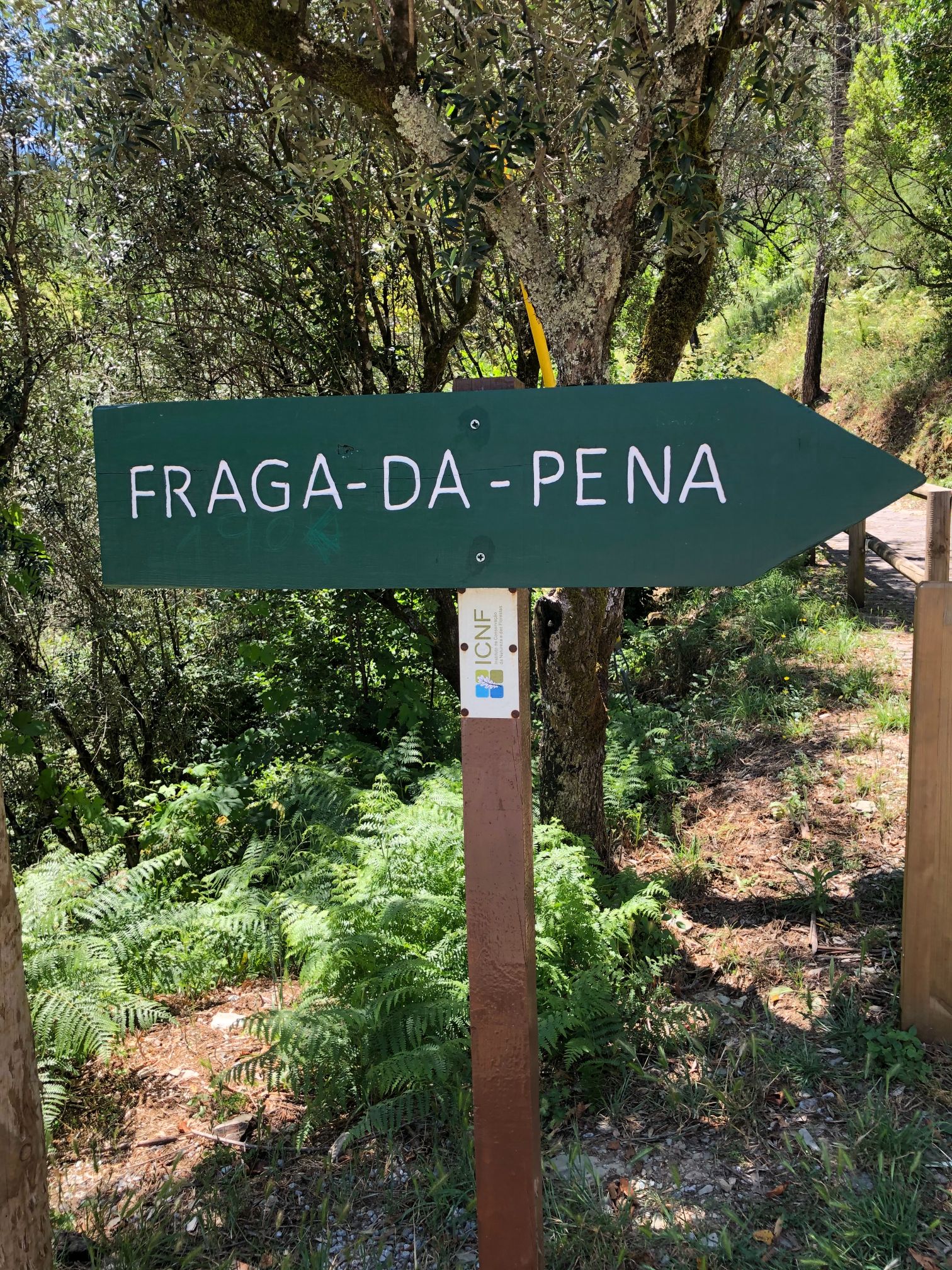 LOCATION LOCATION LOCATION Casa Valhal location-location-location-casa-valhal