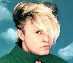 The Flock Of Seagulls Hair | Hairmanstyles